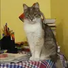 Отзыв от Вероника Акимова